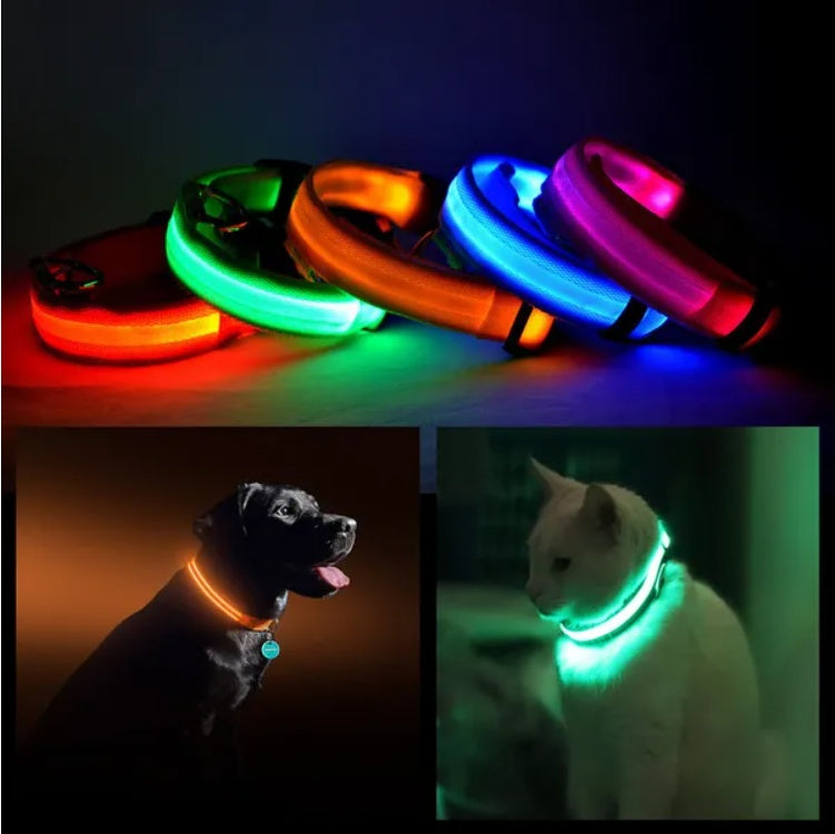 LED Pet Safety Collar – Halo Style Light-Up Collar for Dogs & Cats
